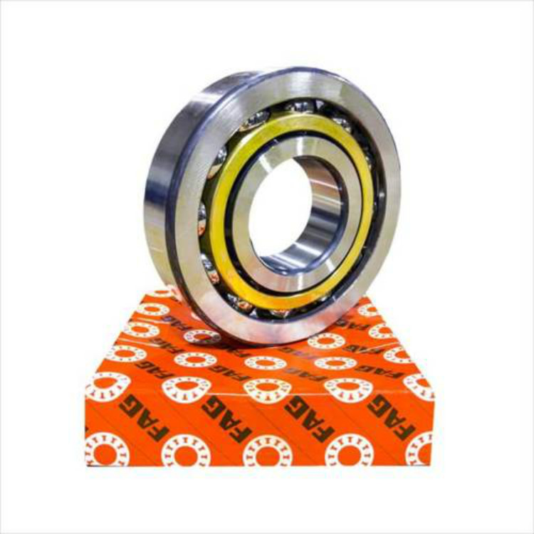 FAG Angular Contact Ball Bearing F-805984.09 FAG Ball Bearing F 805984.09